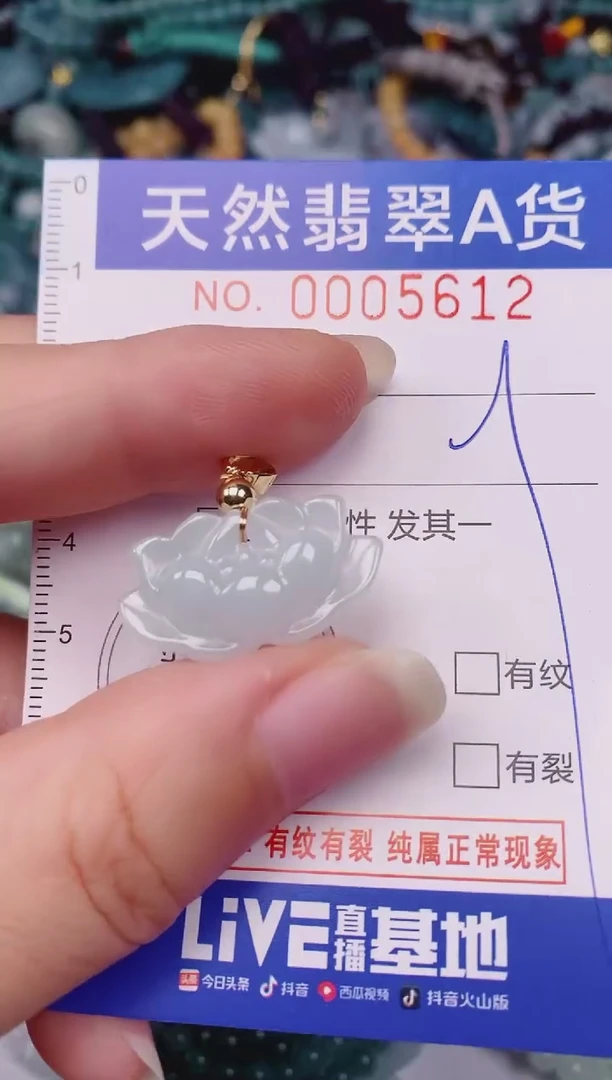 颈饰未镶嵌翡翠00005612