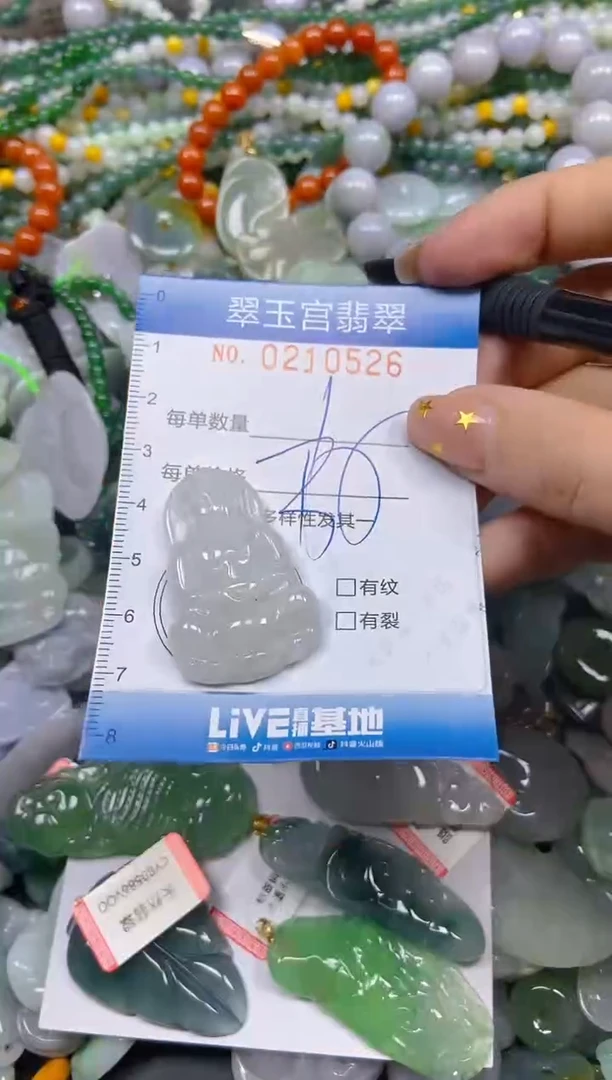 颈饰未镶嵌翡翠闪购C0210526