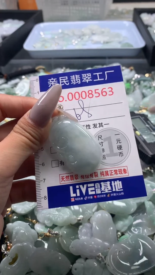 颈饰未镶嵌翡翠8563