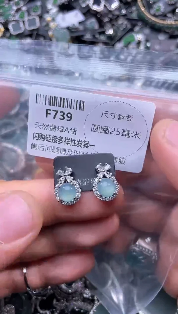 【闪购商品】翡翠颈饰未镶嵌F739耳钉