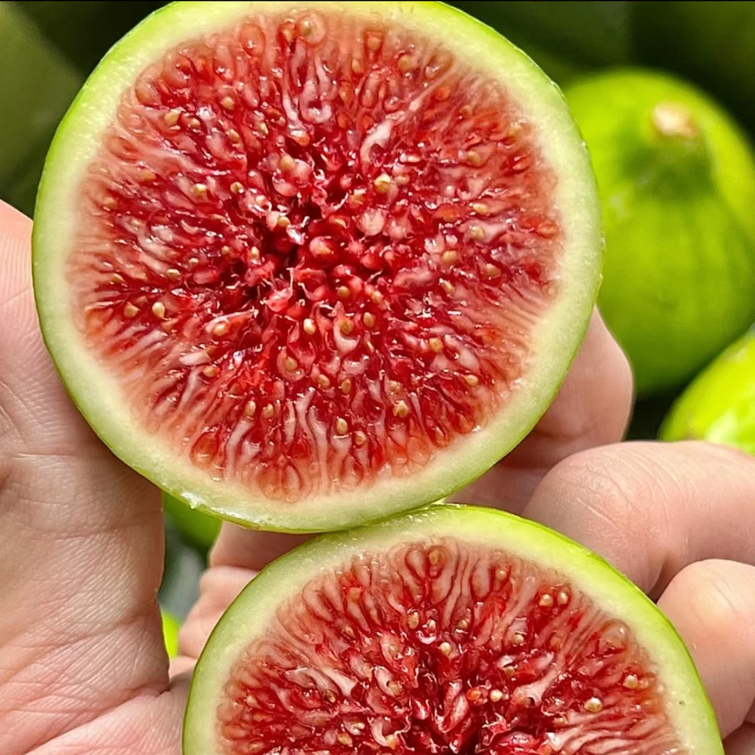 【顺丰】山东威海青皮无花果新鲜应季当季水果软糯香甜