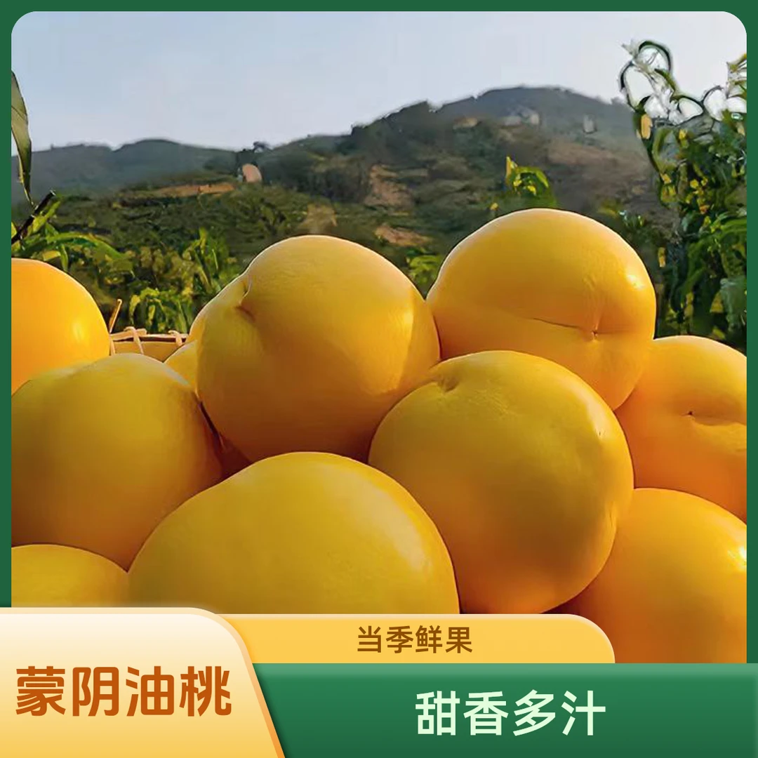 （达人专属）山东蒙阴黄金油桃芒果油桃  3/4.5斤纯桃子净含量