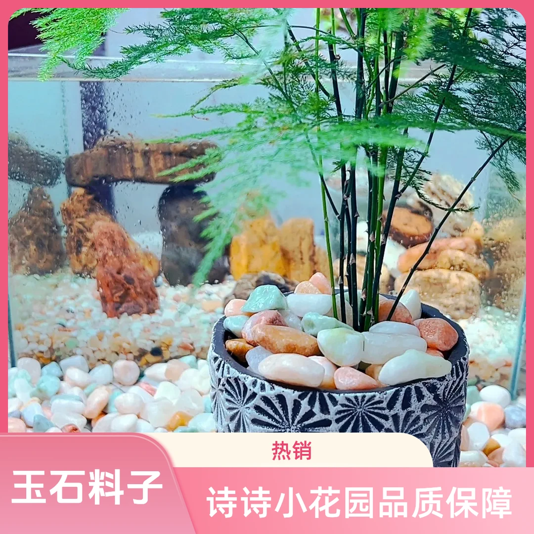玉石料子鱼缸专用造景水培绿菊净水大颗粒天然石鱼缸花盆花盆水培