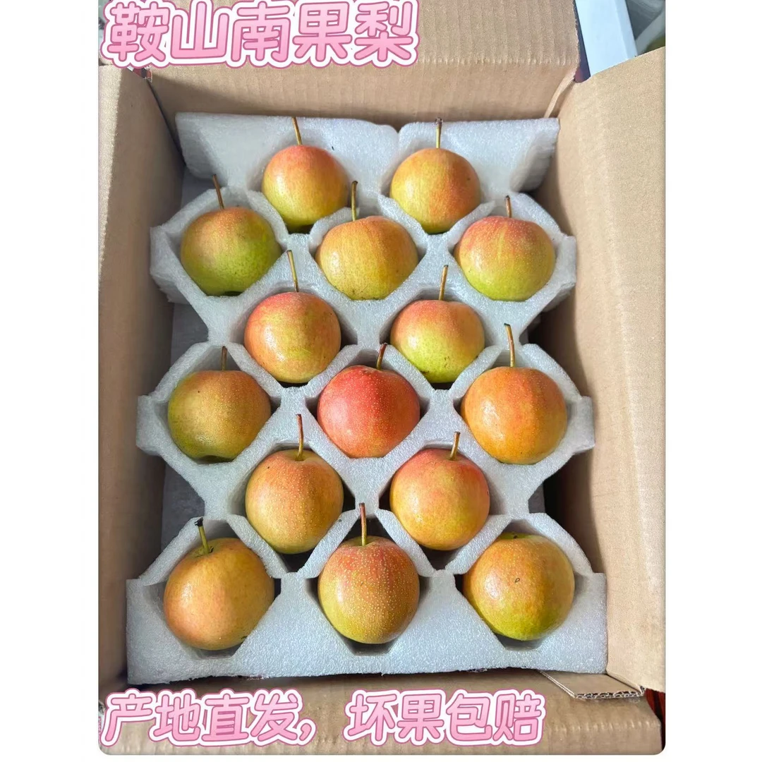 中秋送礼正宗东北鞍山南果梨原产地直发