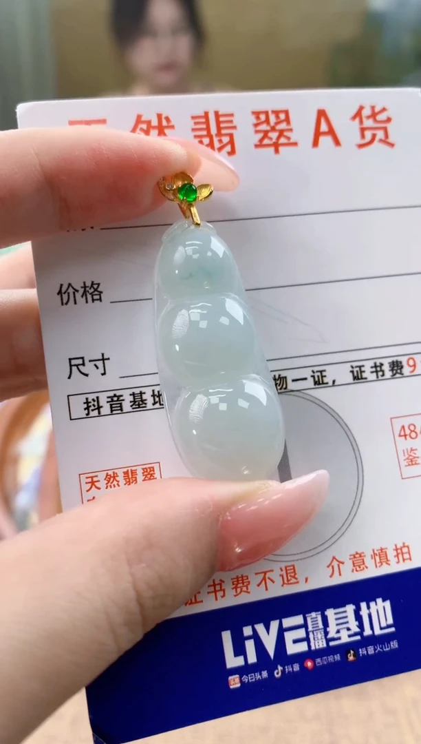 颈饰未镶嵌翡翠天然A货翡翠挂件