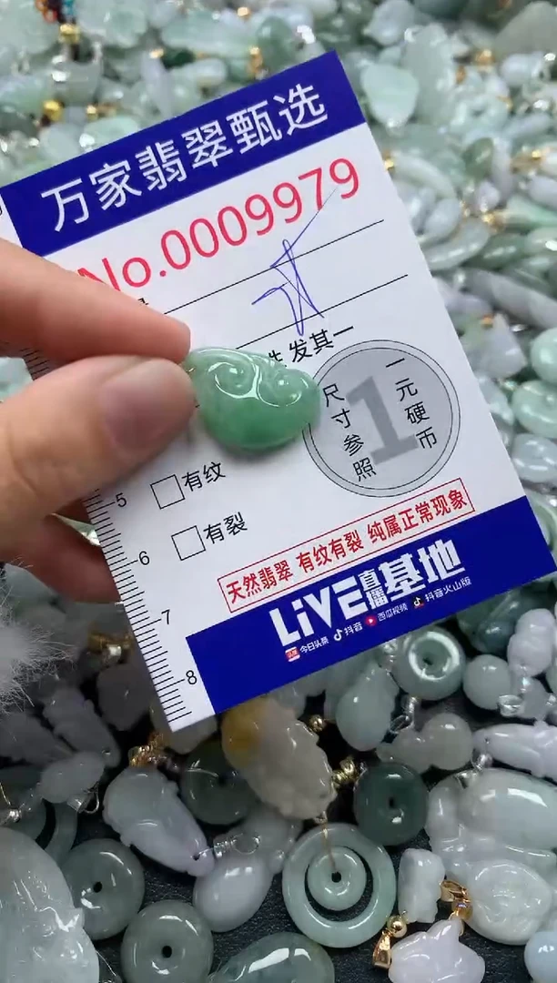 吊坠(不含链)未镶嵌翡翠9979