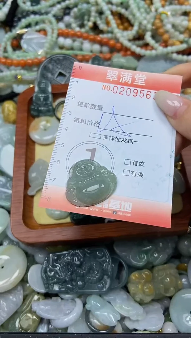 颈饰未镶嵌翡翠闪购0209563