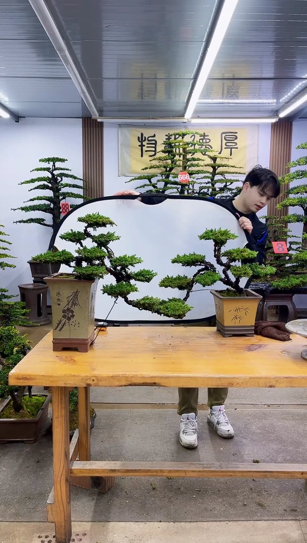 【闪购商品】00000000