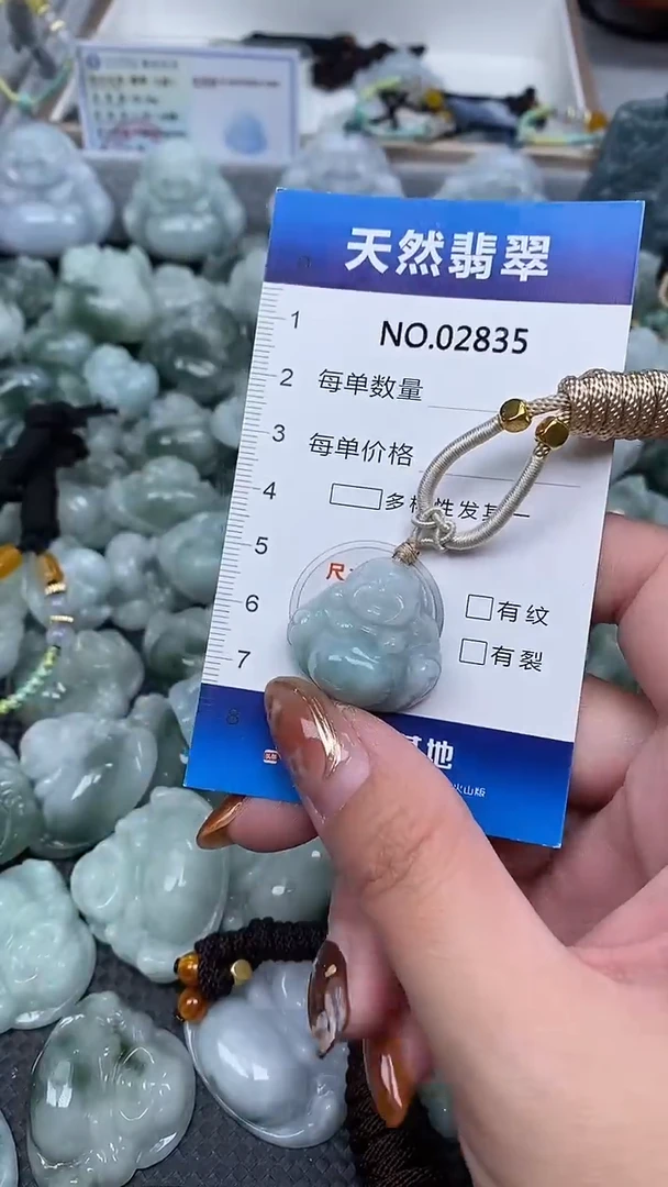 颈饰未镶嵌翡翠纯天然A货翡翠2835