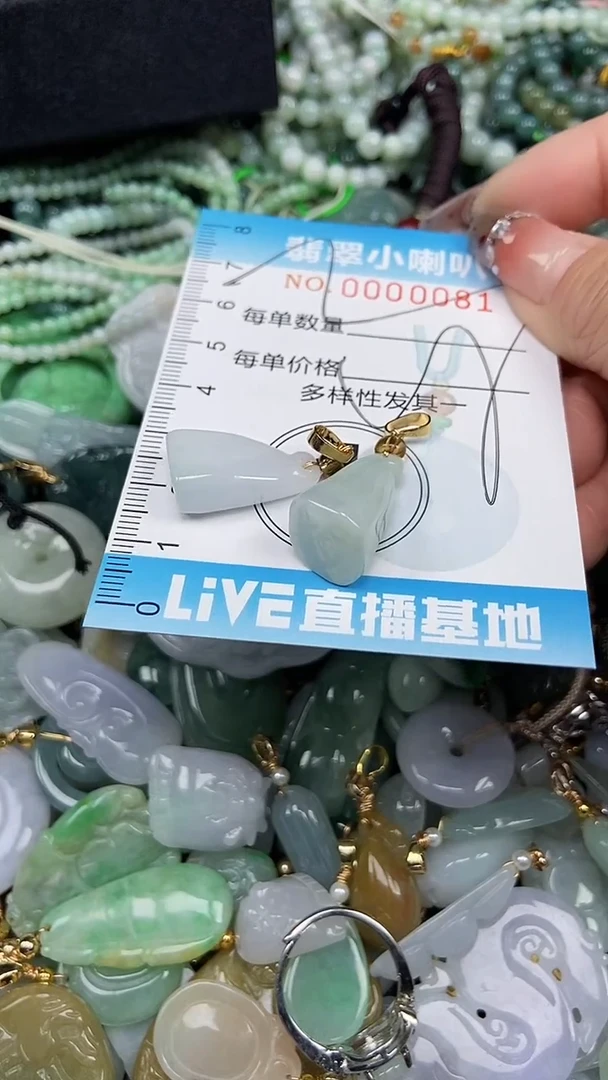 【闪购商品】翡翠颈饰未镶嵌闪购0000081多样性发其一