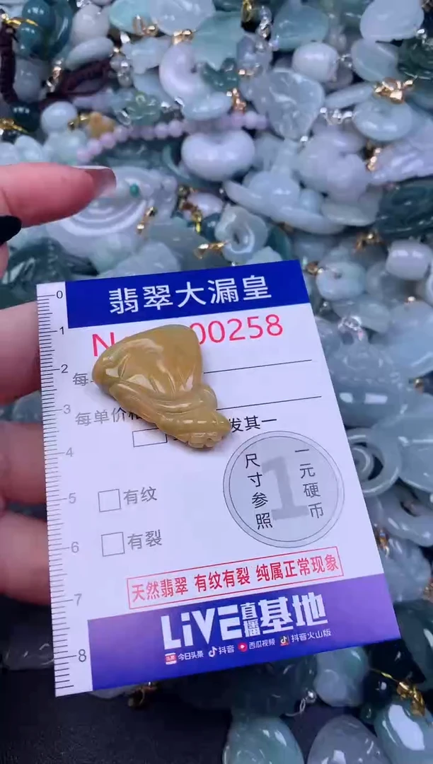 颈饰未镶嵌翡翠258