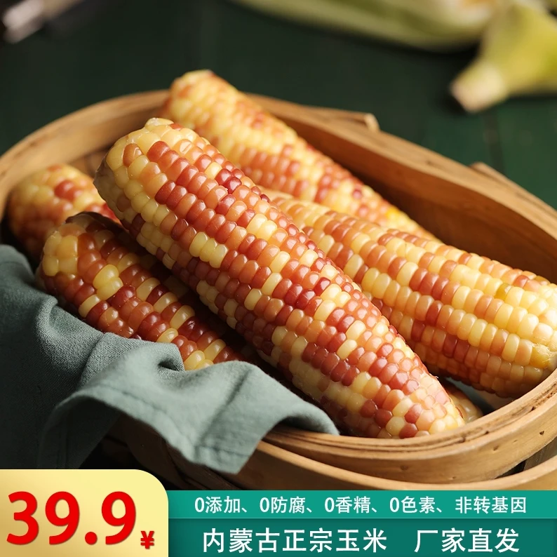 紫金棒内蒙古粗粮彩糯玉米 真空包装代餐减脂鲜食糯玉米棒 1.8kg