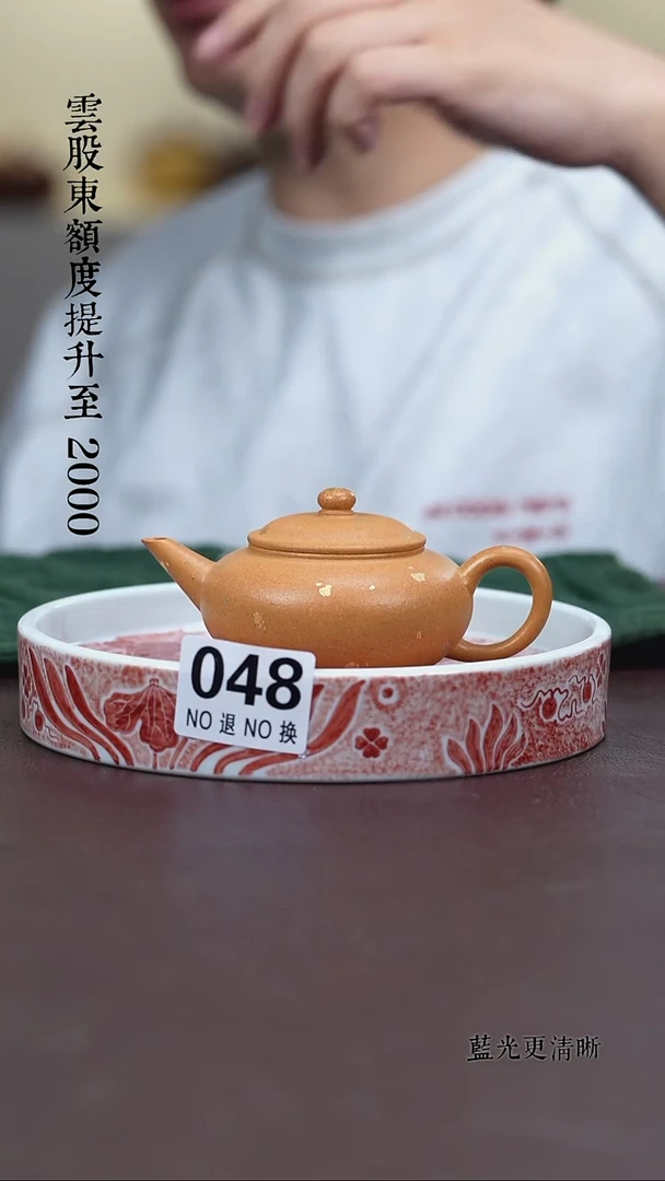 茶壶紫砂049水平