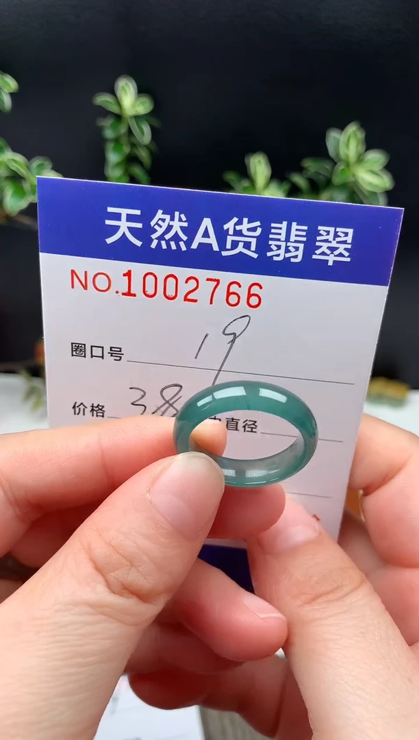 未镶嵌戒指翡翠用****619#
