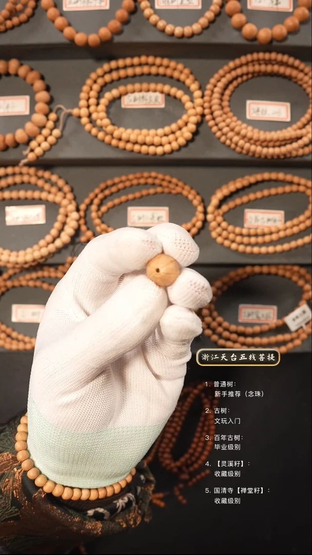 【闪购商品】五线菩提吊坠一颗