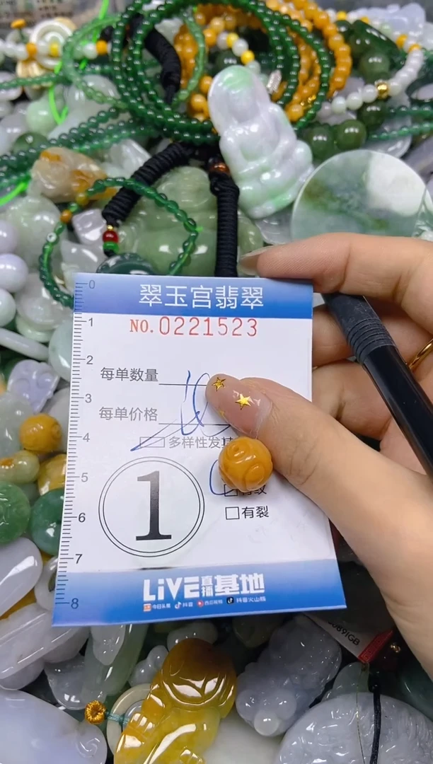 颈饰未镶嵌翡翠闪购C0221523多样性发其一
