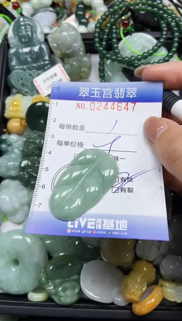 颈饰未镶嵌翡翠闪购C0244647