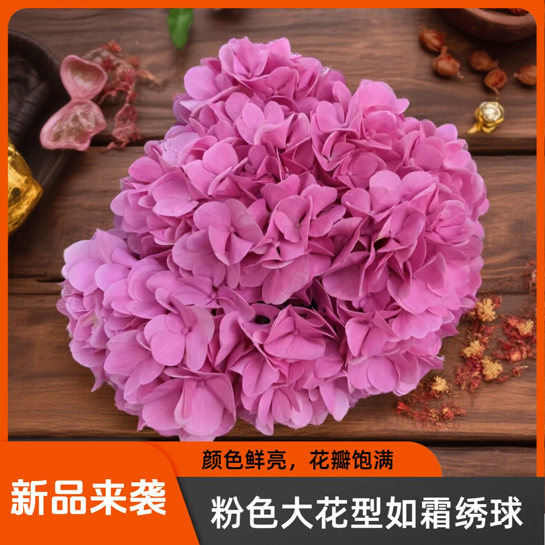 【如霜粉色绣球】新品尝鲜大花型 颜值高 易养护  云南基地直发