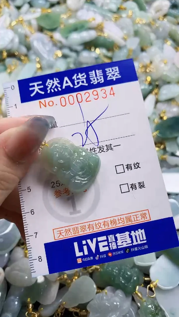 颈饰未镶嵌翡翠纯天然a货翡翠