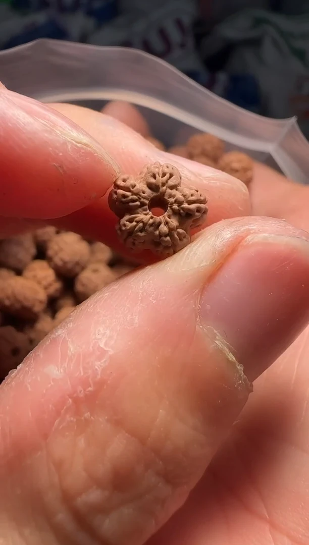 手串金刚菩提非全品老树梅花散籽9-10mm一份一百颗
