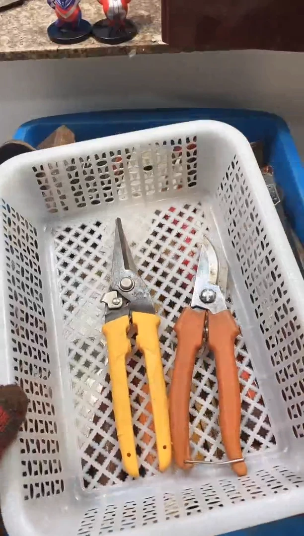 追***J麻嘎子工具闪购链接一物一拍