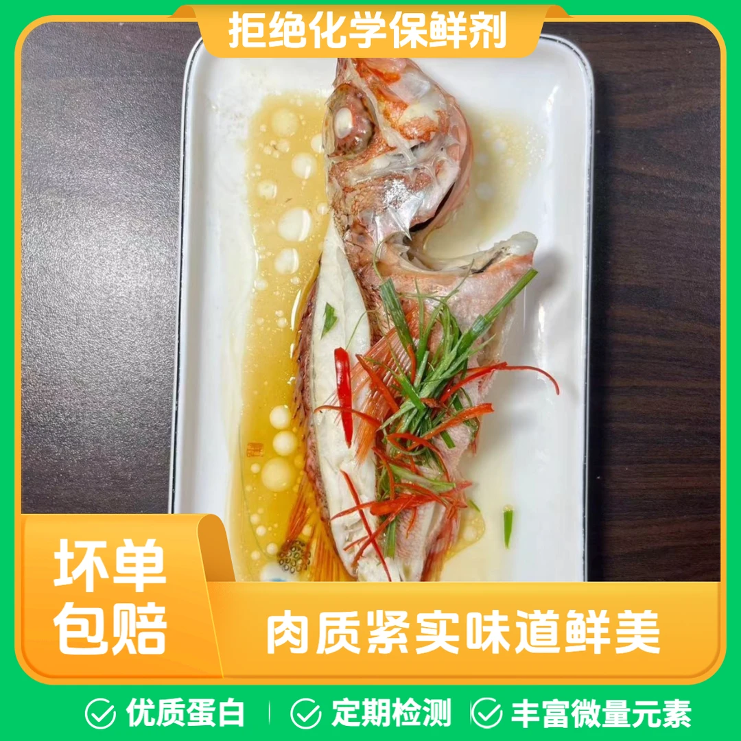 非养殖石斑鱼石狗公石九公虎头斑鱼小红斑速冻顺丰发货