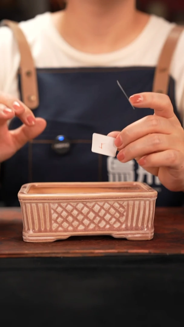 7-10-030花盆口径