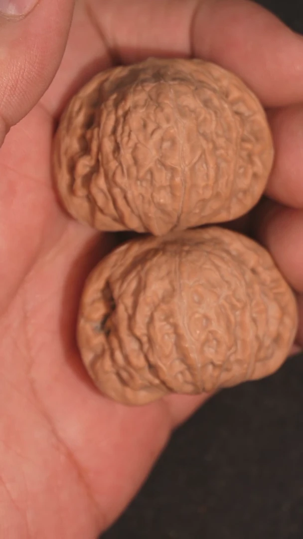 【闪购商品】文玩核桃把件铁锤38全品