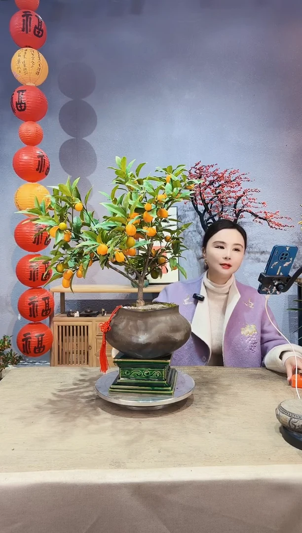 【闪购商品】盆景脆皮金桔