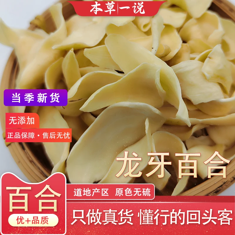 本草一说 龙牙百合 精选品质百合干