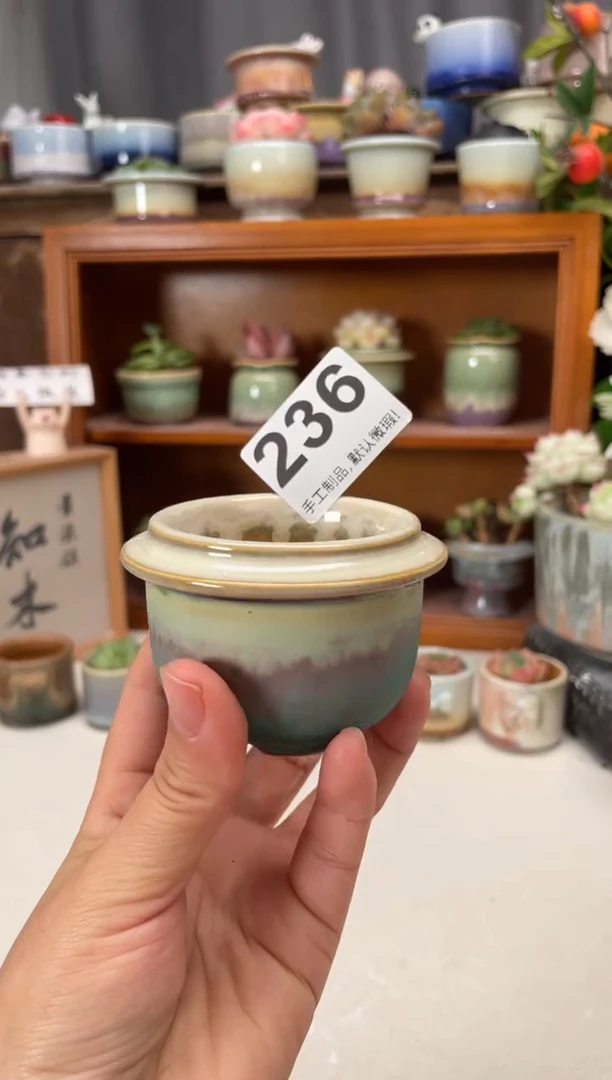 瓷片236知木小芳花盆直播编号