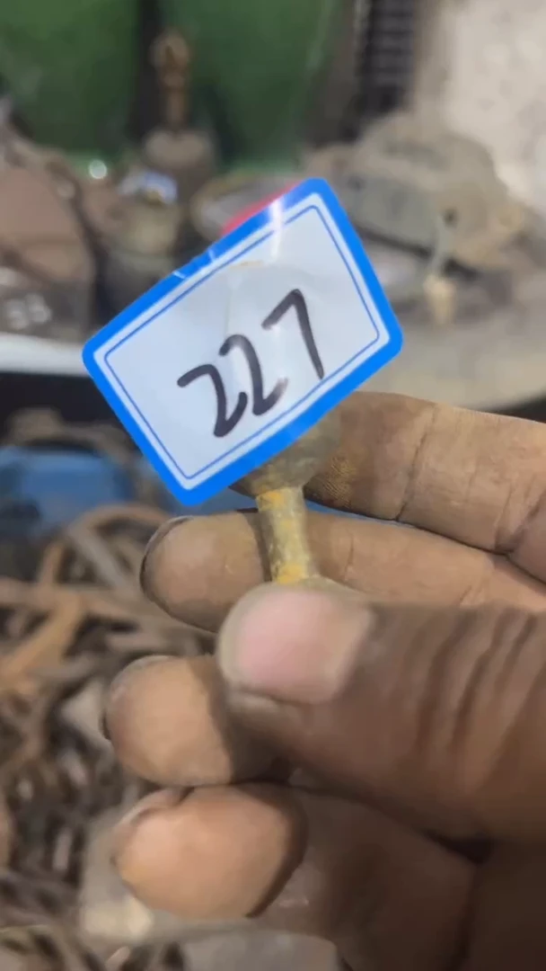 隆江收藏馆新人卖货