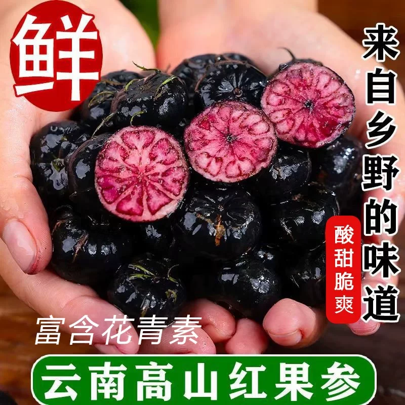 云南文山红果参（蜘蛛果，算盘果），高山种植，新奇水果