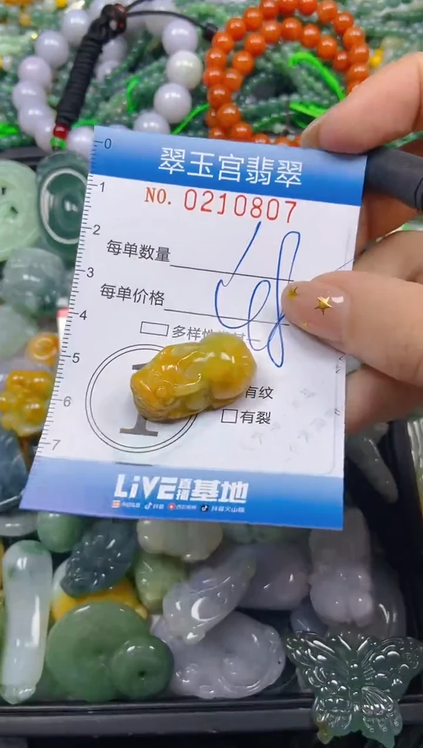 颈饰未镶嵌翡翠闪购C0210807