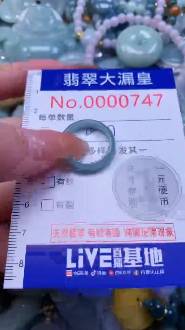 翡翠未镶嵌吊坠(不含链)0747