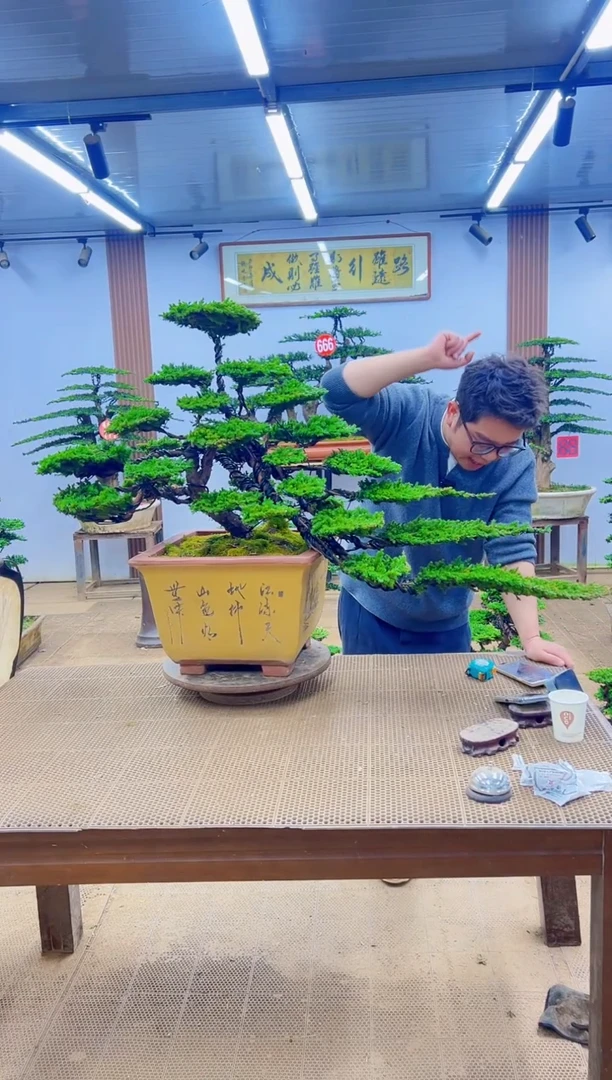 无花朵000000000000