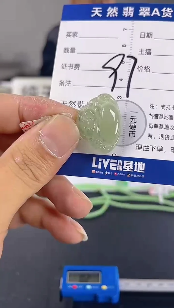 颈饰未镶嵌翡翠天然A货缅甸翡翠