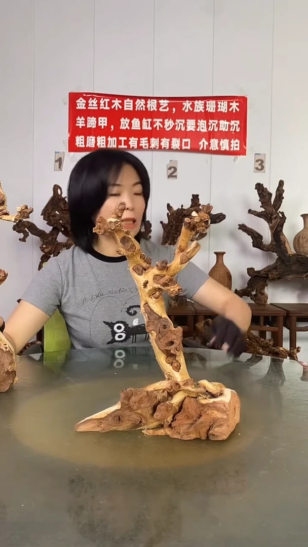 香榧木建**市金丝红木   羊蹄甲