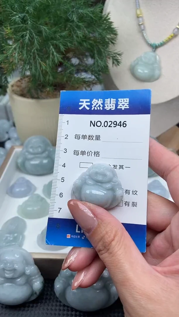 颈饰未镶嵌翡翠纯天然A货翡翠2946