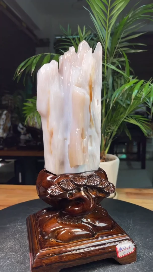 未镶嵌硅化玉（树化玉）珠宝奇石2422