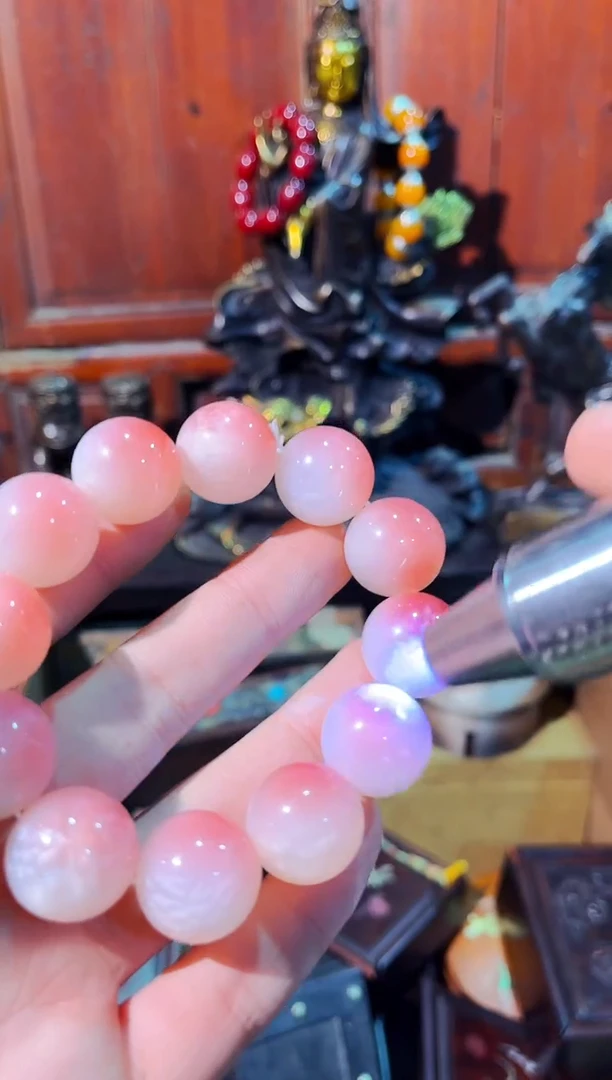 【闪购商品】贝壳手串/手链小硕硕精品精选链接71000