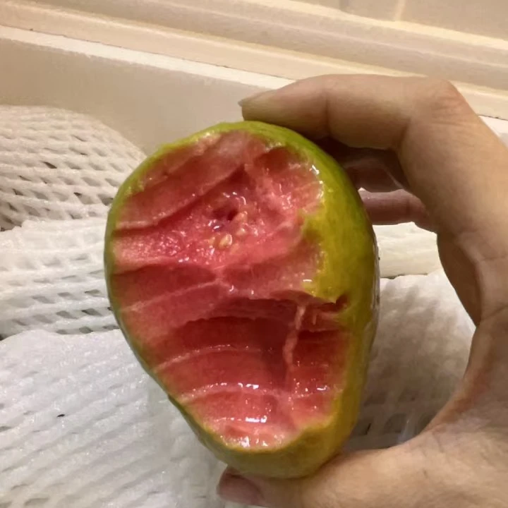 【果叔源选】自然熟红心芭乐1箱 2.5-2.7斤 顺丰包邮