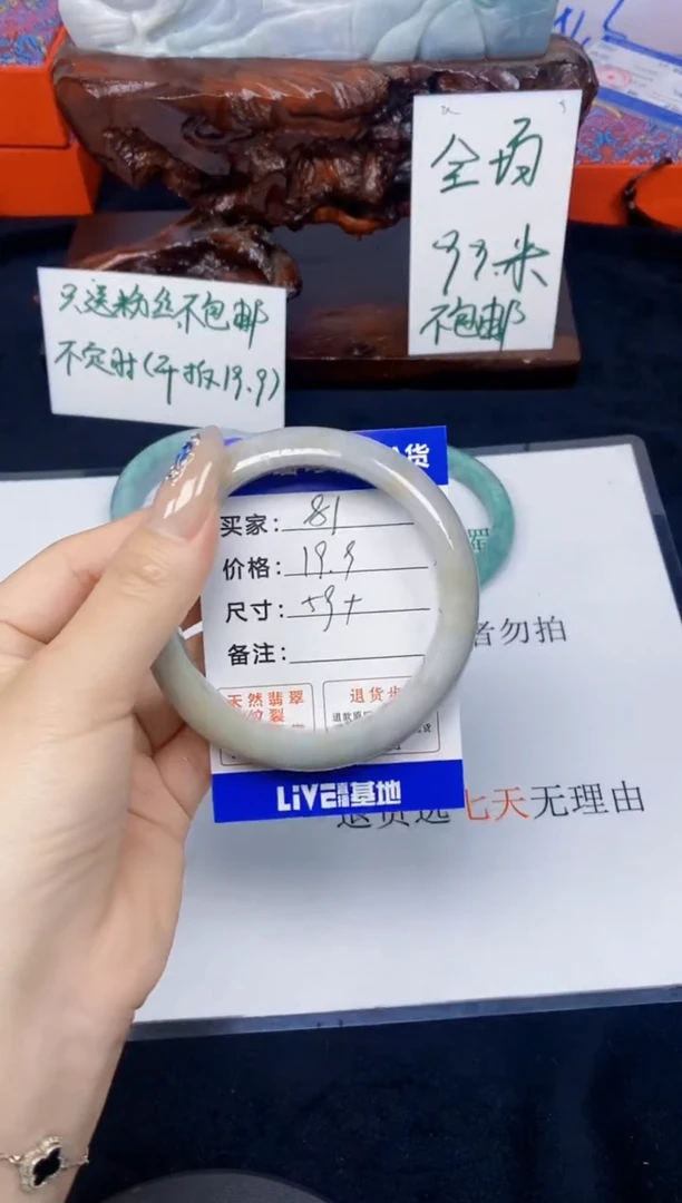 未镶嵌手镯翡翠81