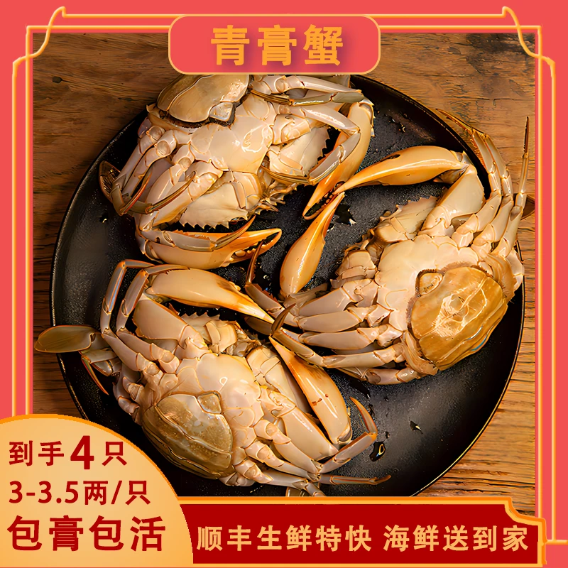【包活】红膏蟹/青蟹4只（3-3.5两/只）/野生海捕纯正未加工略带泥土/杭州发货/顺丰包邮到家
