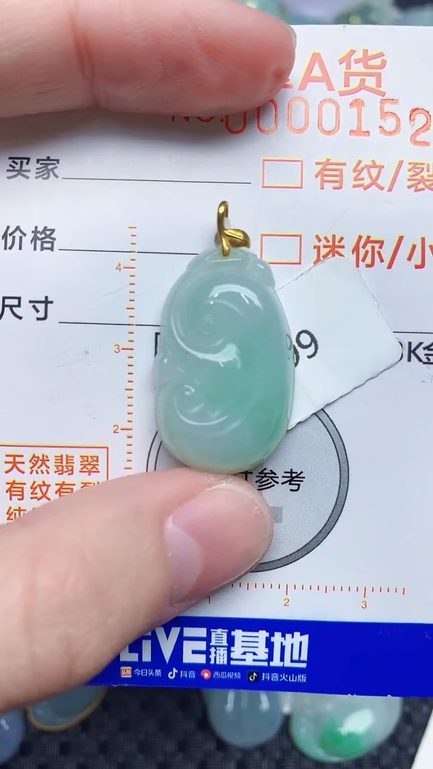 【闪购商品】翡翠颈饰18K金镶嵌534534534