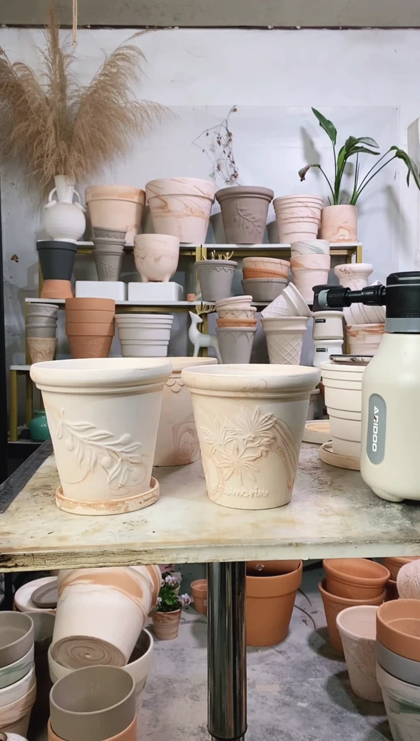 16*15玛奇朵橄榄枝+香草组合 2盆2托