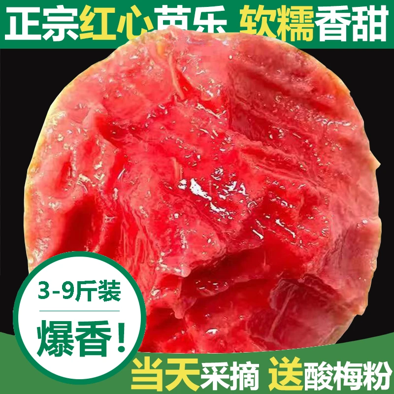 广西正宗白心红心软芭乐番石榴大果产地直发新鲜应季水果3斤5斤