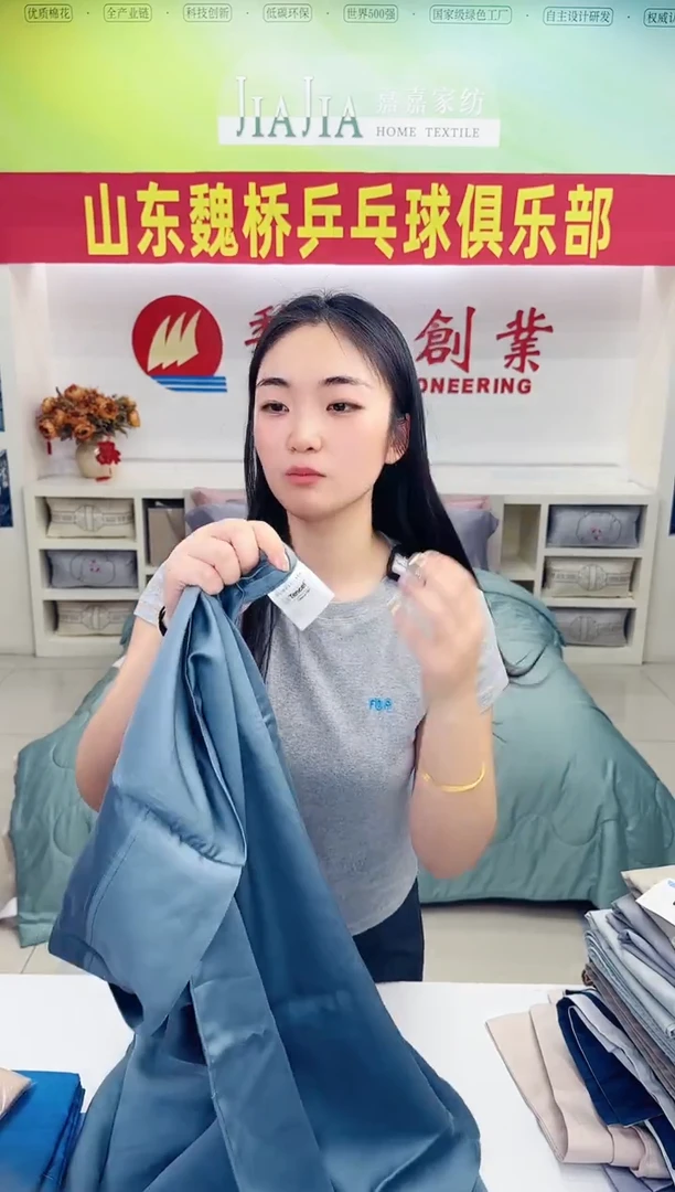 嘉嘉家纺外贸枕套03