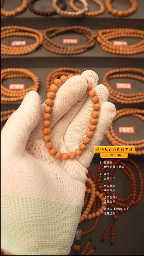 吊坠五线菩提y手持