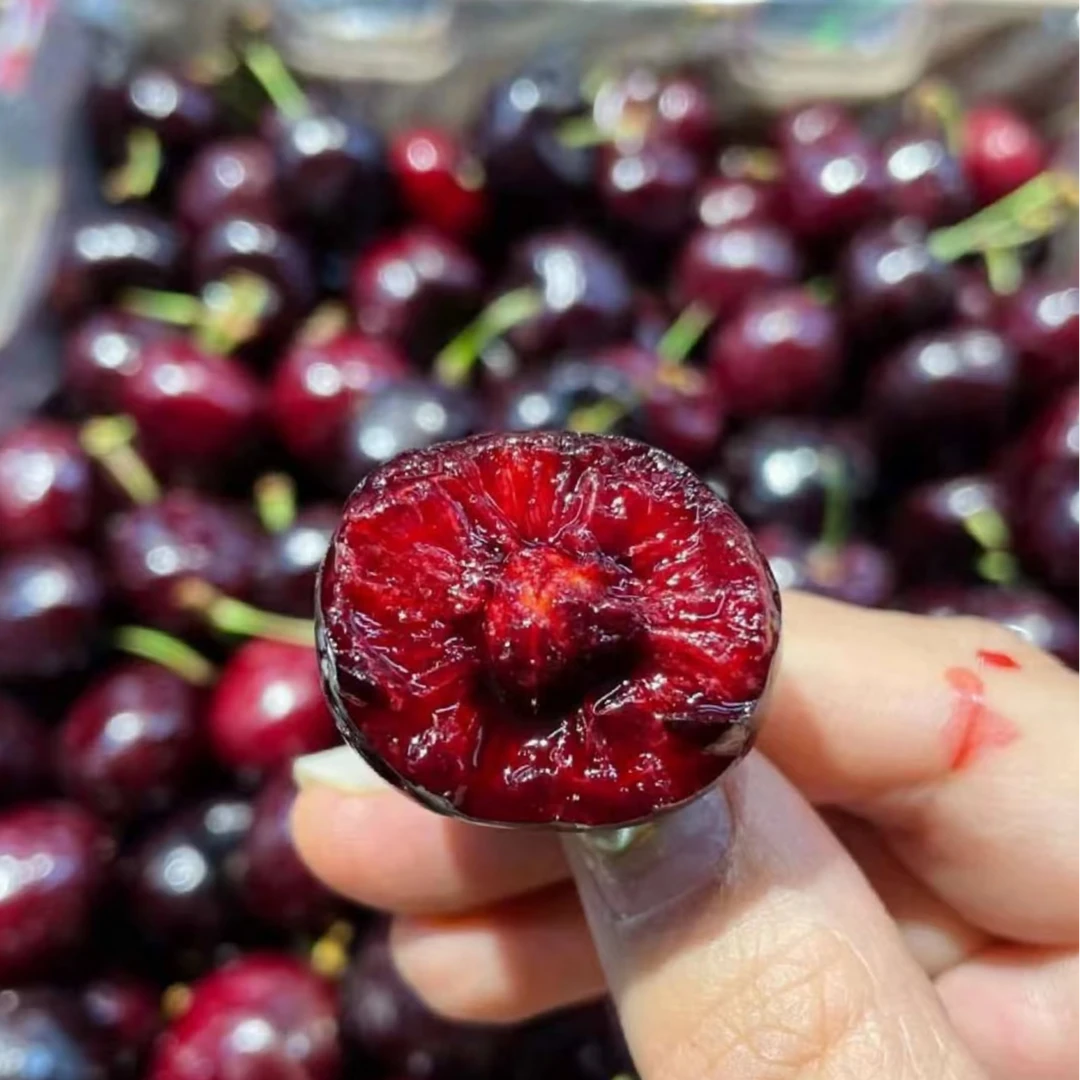 吉智车厘子JD 当季水果 桑提娜（原箱4斤装）（空运）桑提娜